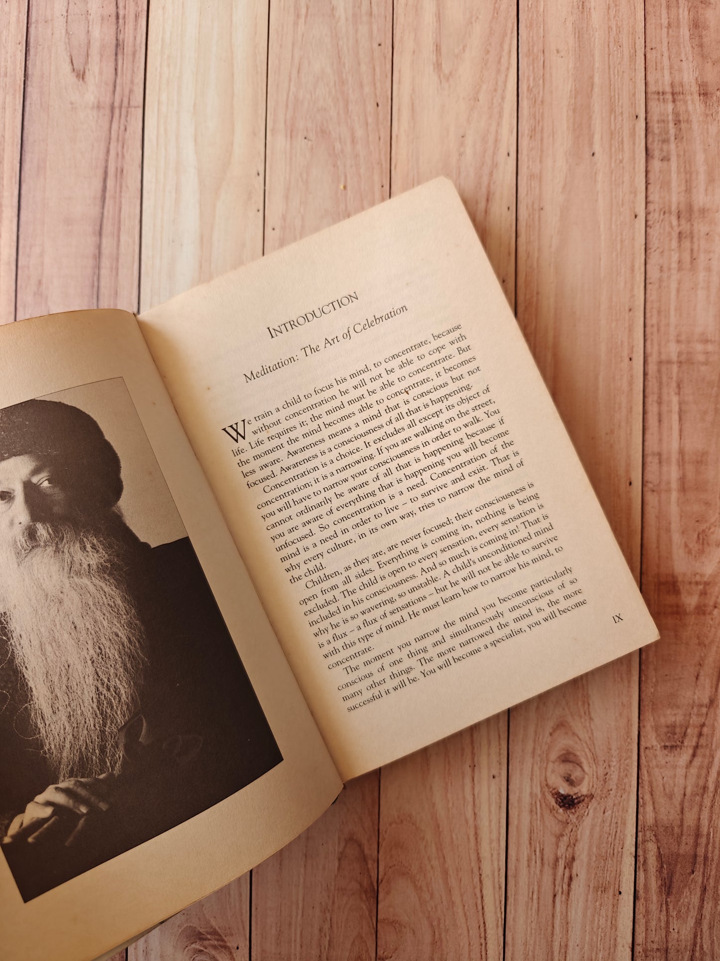 Meditation: The art of ecstasy
