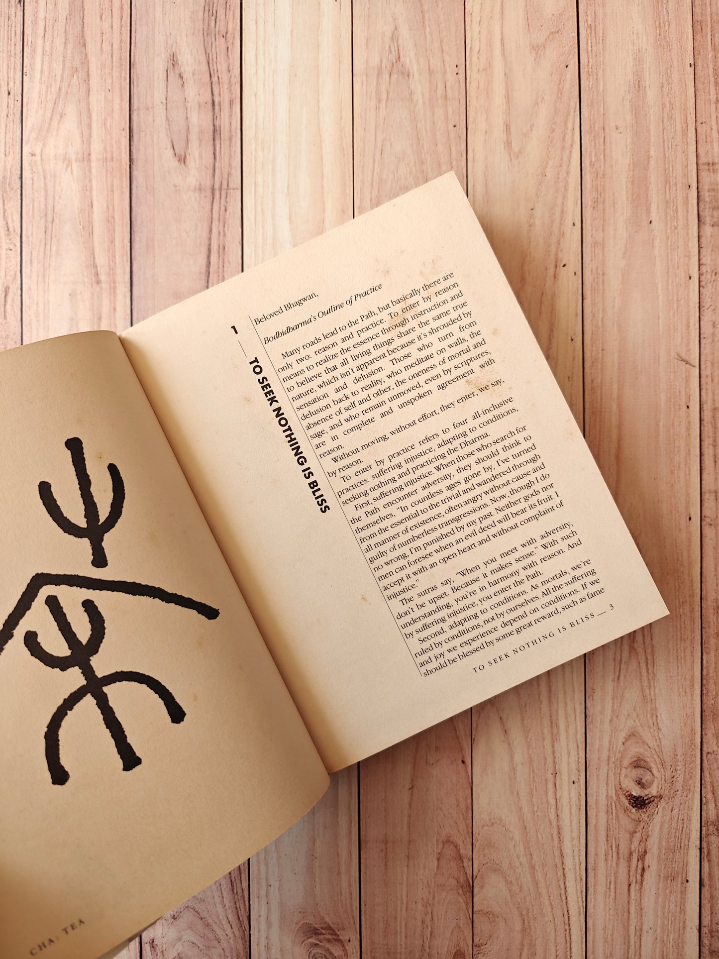 Bodhidharma: The greatest zen master
