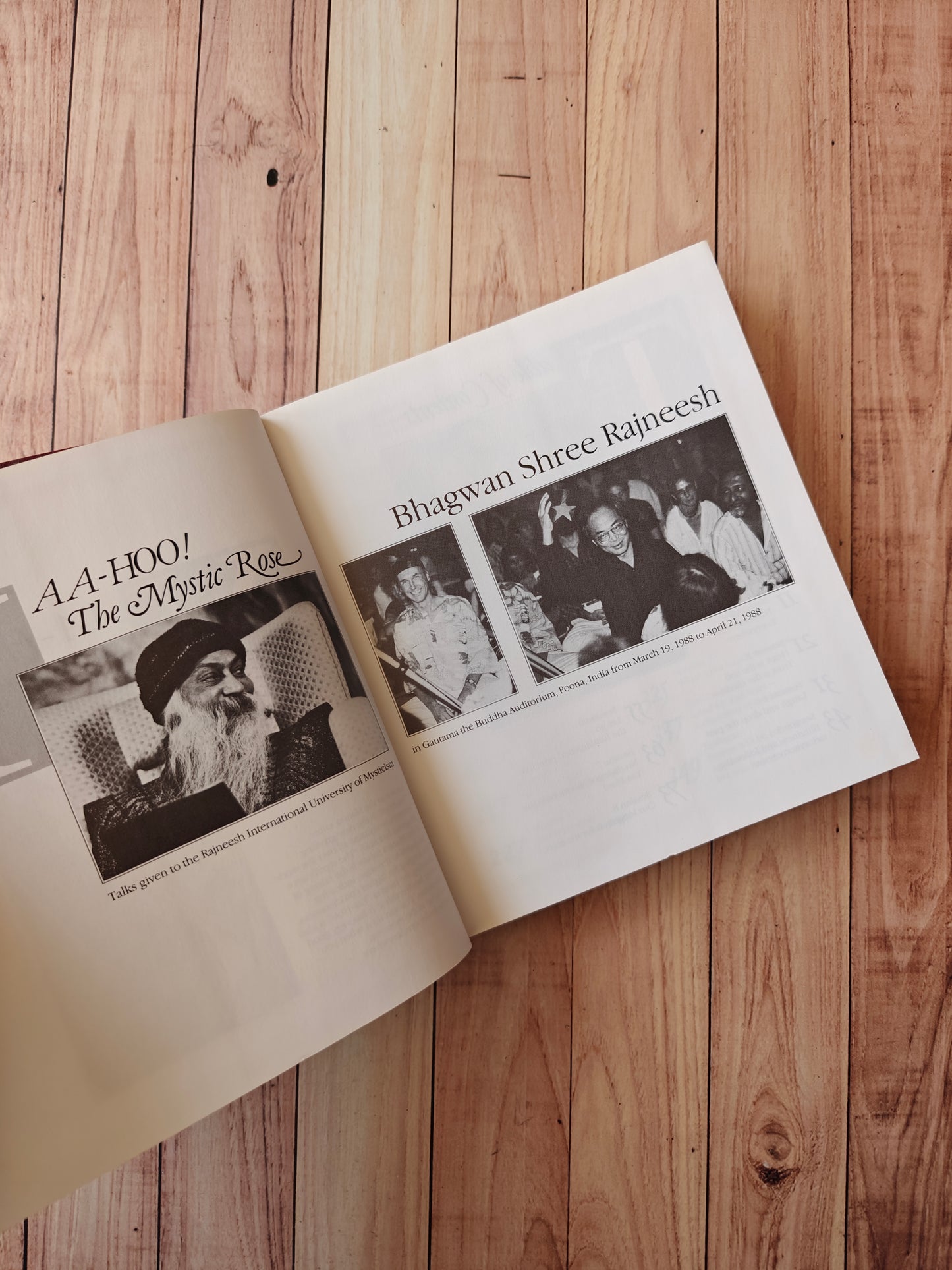 Yaa-hoo! The mystic rose