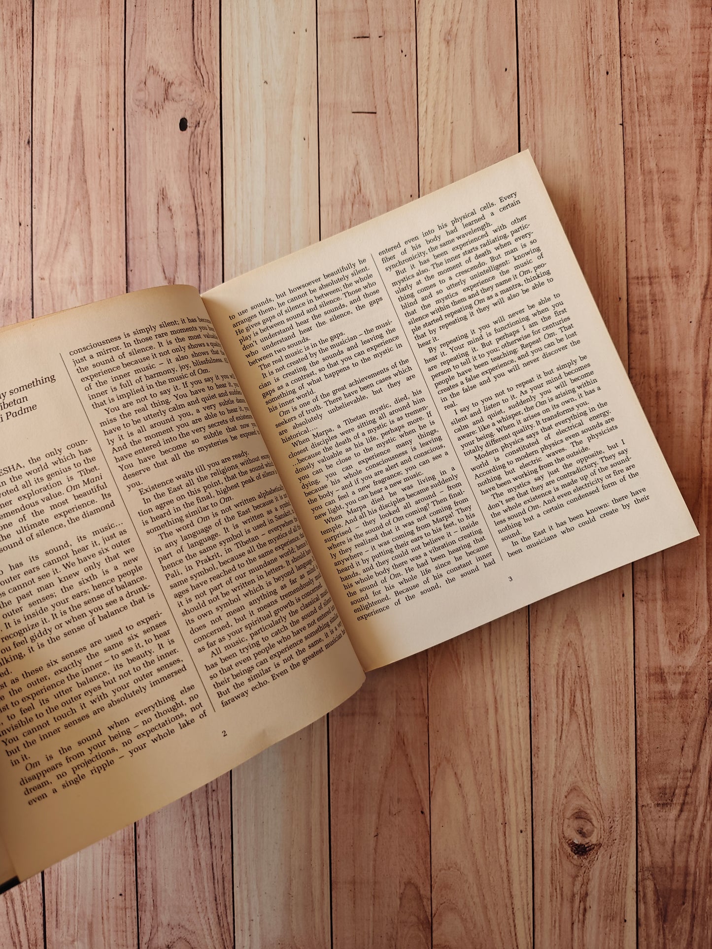 The sound of silence: The diamond in the lotus