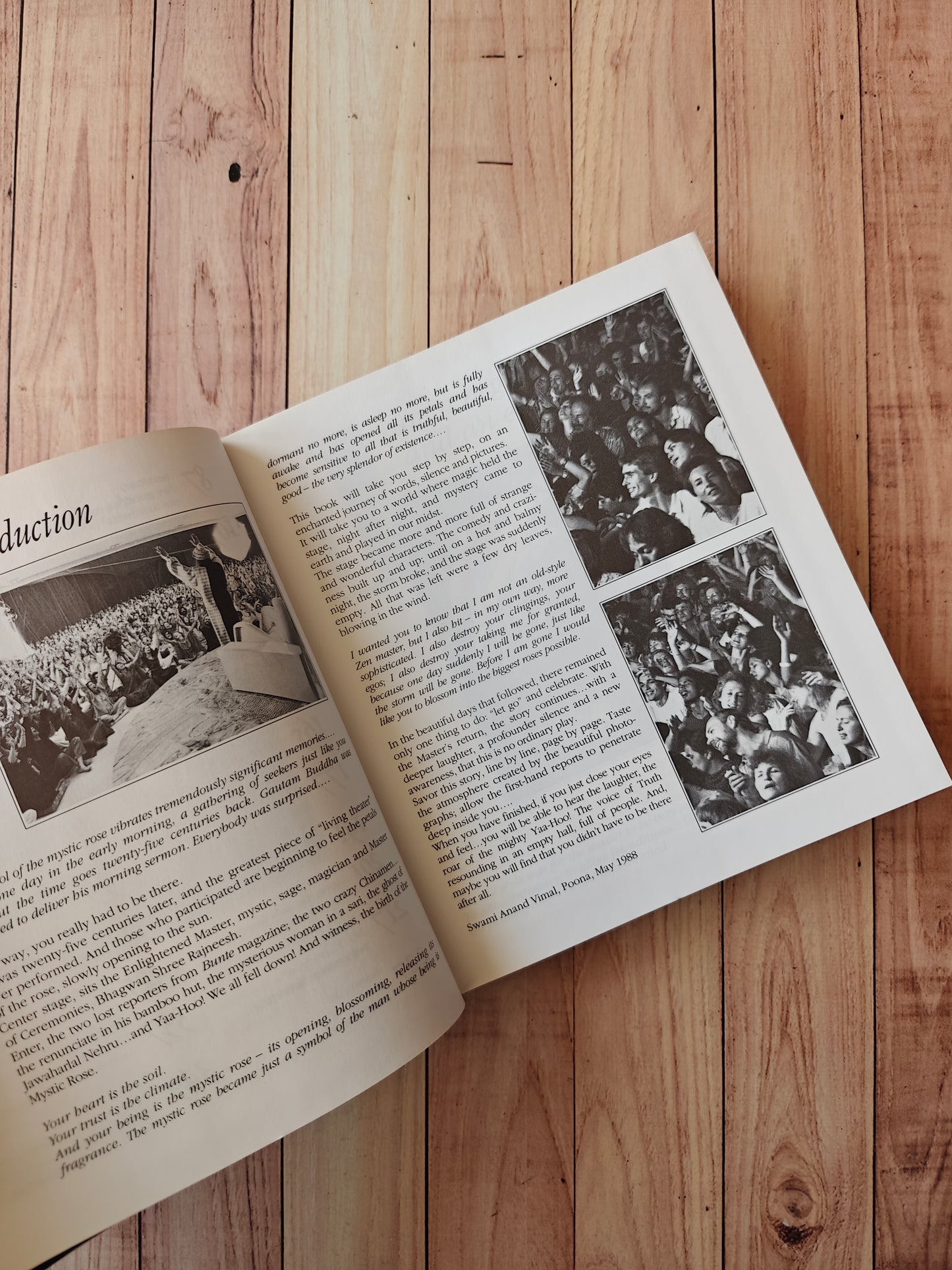 Yaa-hoo! The mystic rose