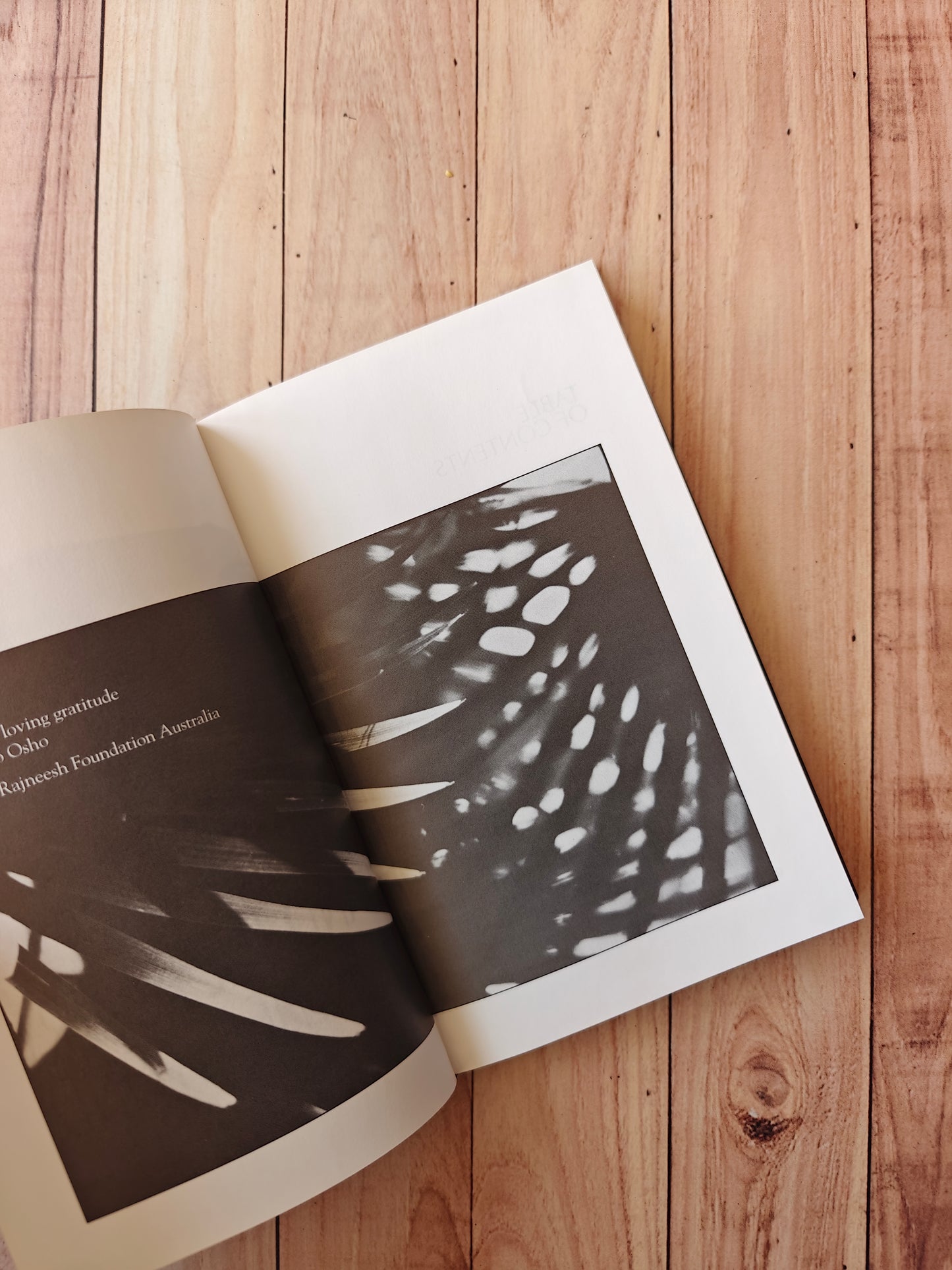 Zen the mystery and the poetry of the beyond